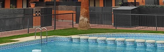 Piscina de comunidad d vecinos con jardín y palmera.