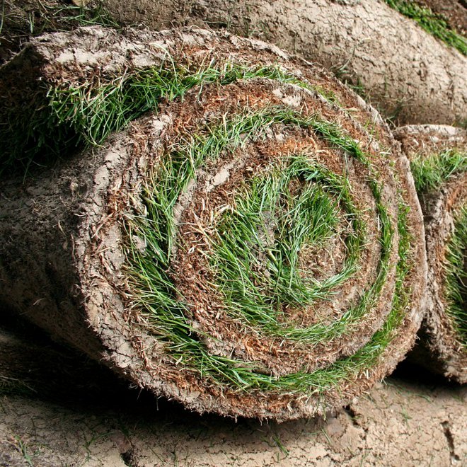 Paisajismo La Rioja ofrece servicios de instalación de tepes de césped natural. Rollo de tepes de césped natural.