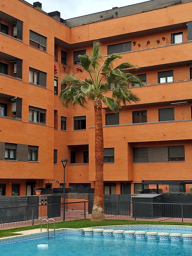 Paisajismo La Rioja: Mantenimiento de comunidades de vecinos. Comunidad de vecinos con piscina y gran palmera.