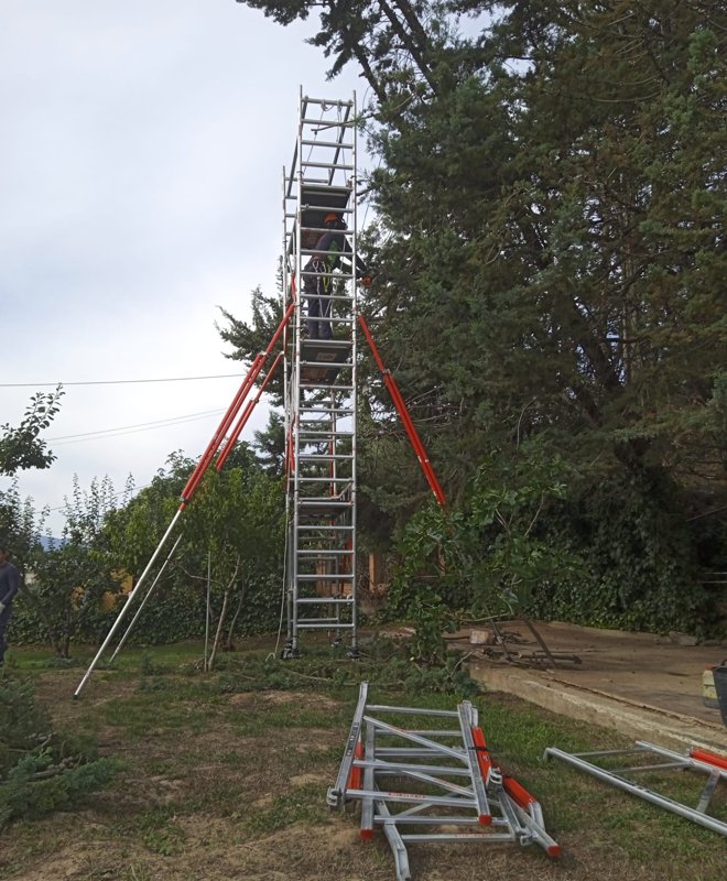 Trabajo con vegetación en altura. Estructura metálica. Trabajo con vegetación en altura. Estructura metálica.