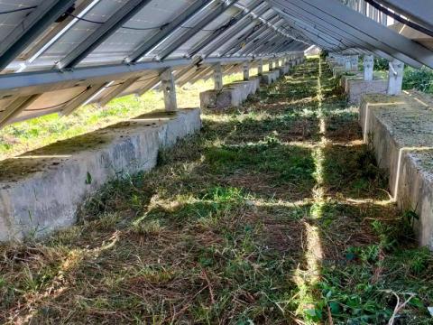 Linea de placas solares en un parque solar