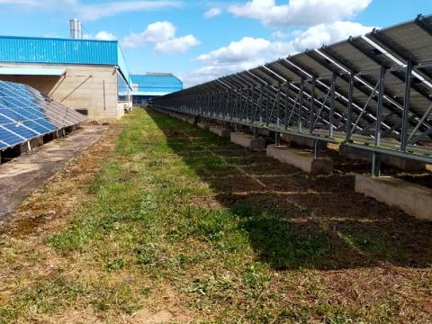 Terreno desbrozado bajo unas placas solares