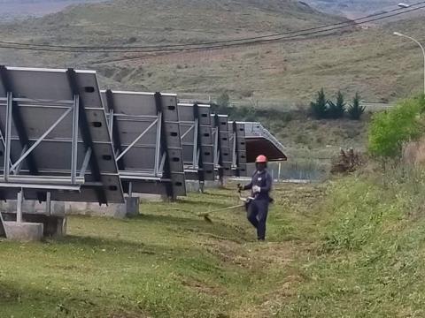 Trabajador realizando tareas de desbroce