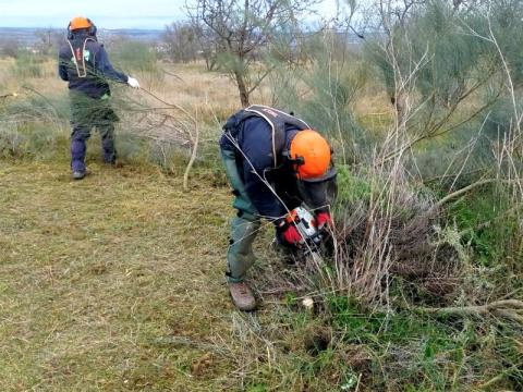 Operarios de Paisajismo La Rioja trabajando en un terrreno de un Parque Eólico