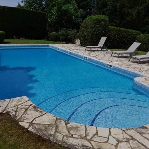 Piscina limpia con borde de piedra y tumbonas